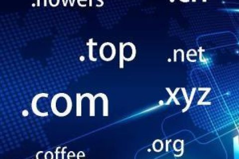 拉薩網(wǎng)站建設(shè)常見(jiàn)問(wèn)題之什么是域名？如何購(gòu)買(mǎi)和選購(gòu)域名？